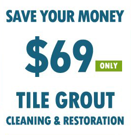 Tile Grout Cleaning Webster TX